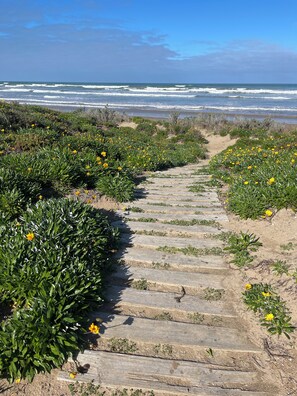 På stranden og solsenger