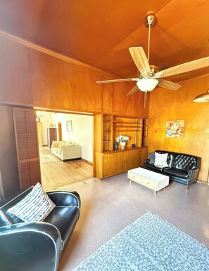 Fernseher, Arbeitsbereiche