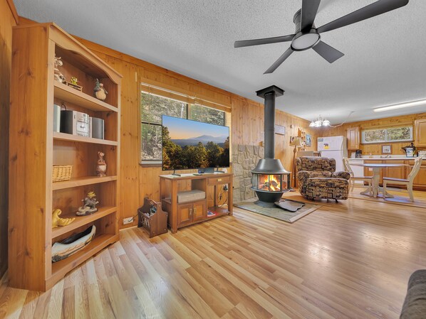 TV, fireplace
