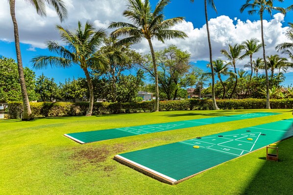 Sport court