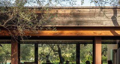 Spacious Villa in Provence