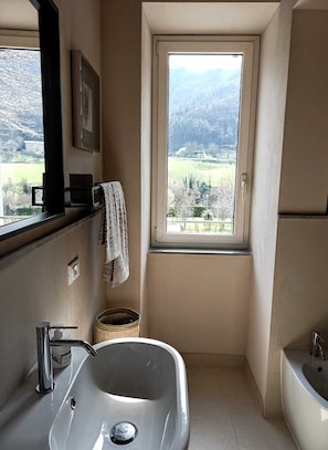 Shower, hair dryer, bidet, towels