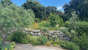 A stone bridge over a wooden deck surrounded by lush greenery and trees.