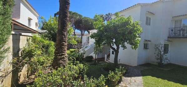A courtyard with white buildings, a palm tree, and a well-maintained garden.