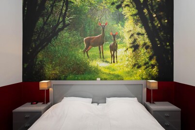 布洛克澤伊爾歷史中心 Studio 2