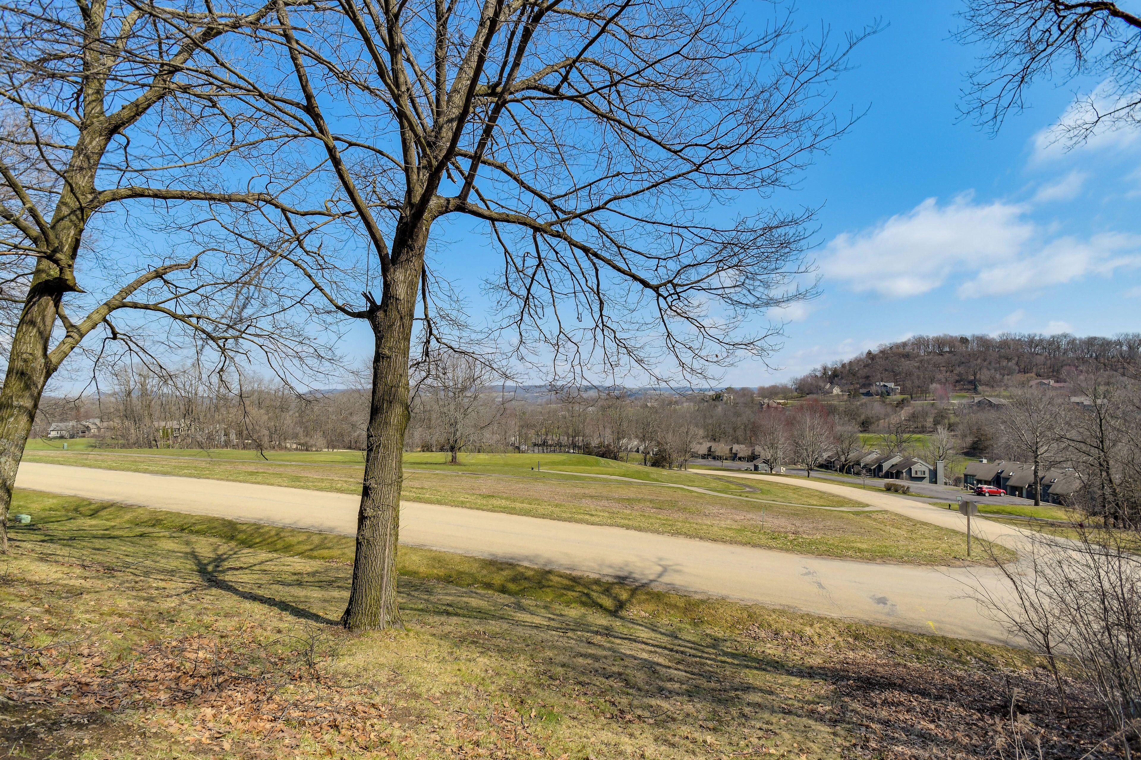 A park with a dirt path, leafless trees, and a distant residential area.
