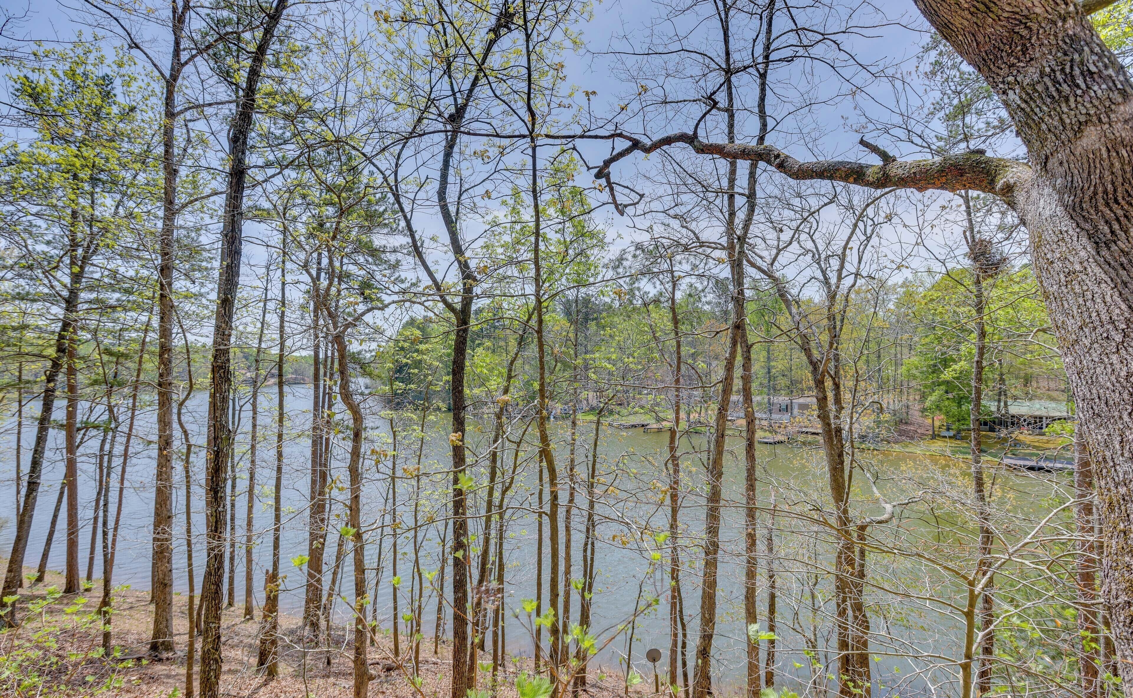 A forested area with tall trees and a body of water.