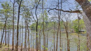 A forested area with tall trees and a body of water.