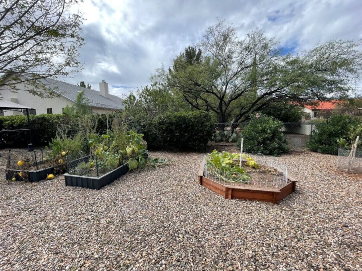 Un jardín con jardineras elevadas y diversas plantas.