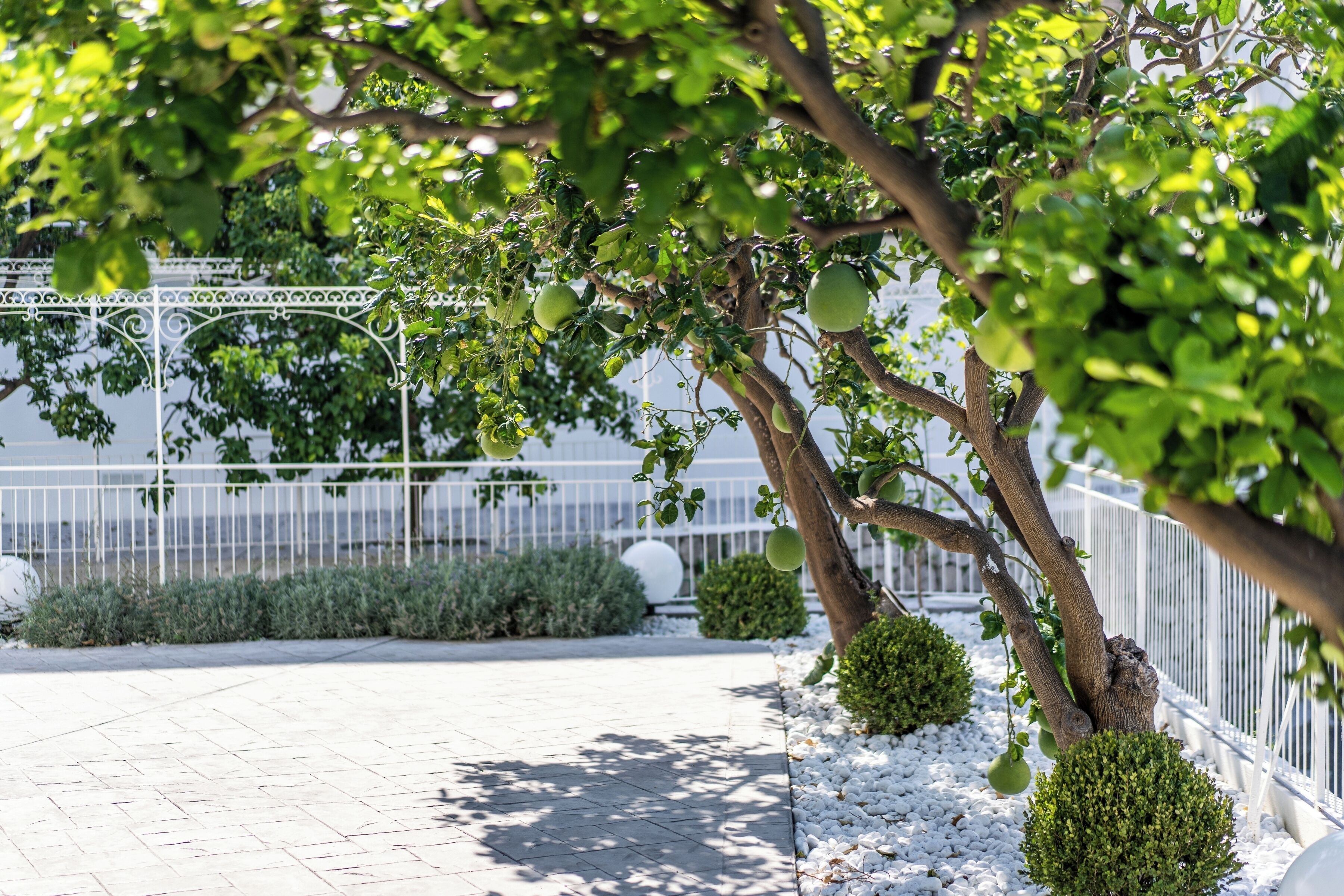 A paved walkway lined with white gravel, a metal fence, and green foliage.