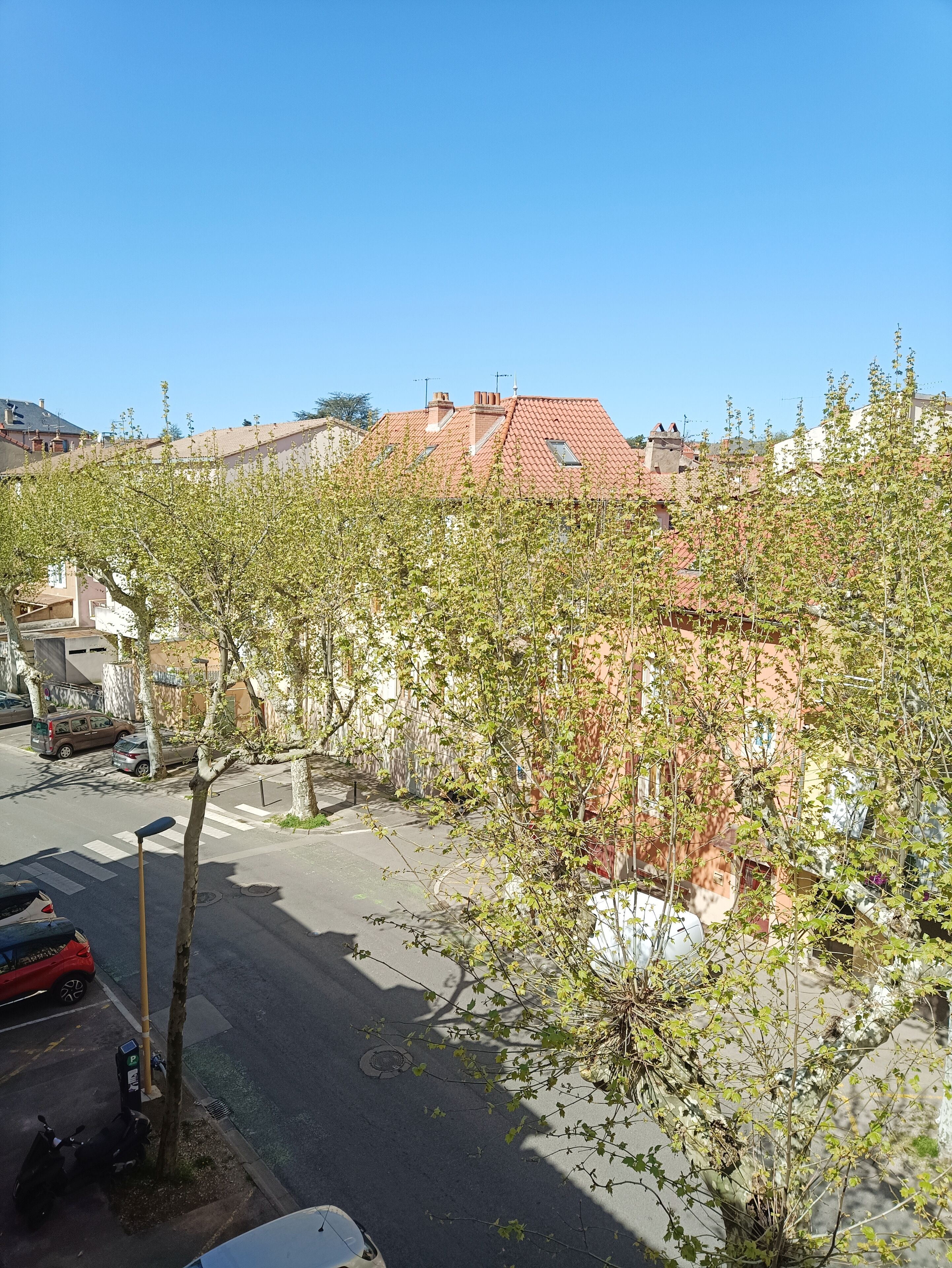 En bostadsgata med parkerade bilar, ett övergångsställe och en rad träd med gröna löv.