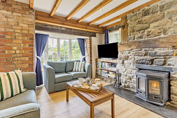 TV, fireplace