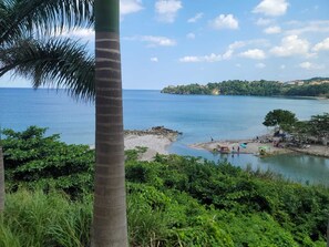 A coastal landscape with a palm tree, dense greenery, and a calm sea. -  The Dream Nest At Csompo Silver Manor (Tower Isle)