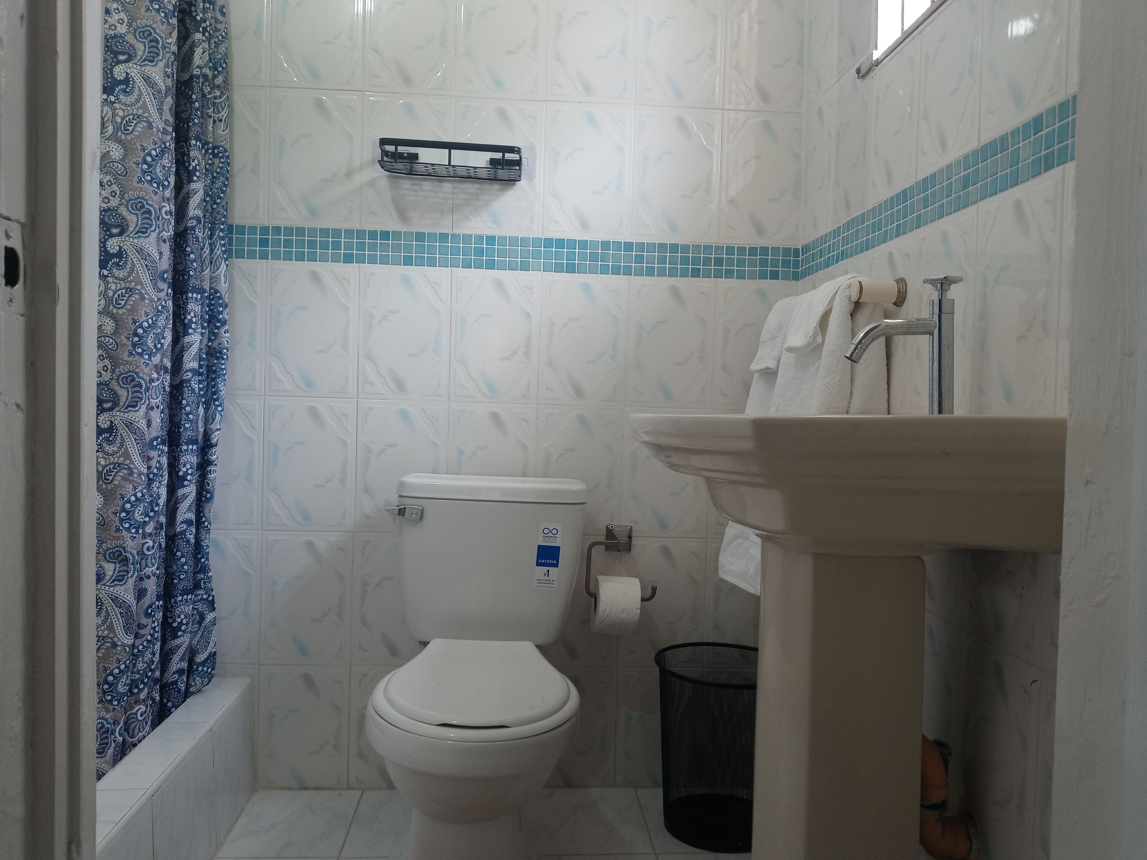 A bathroom with a toilet, sink, and shower.