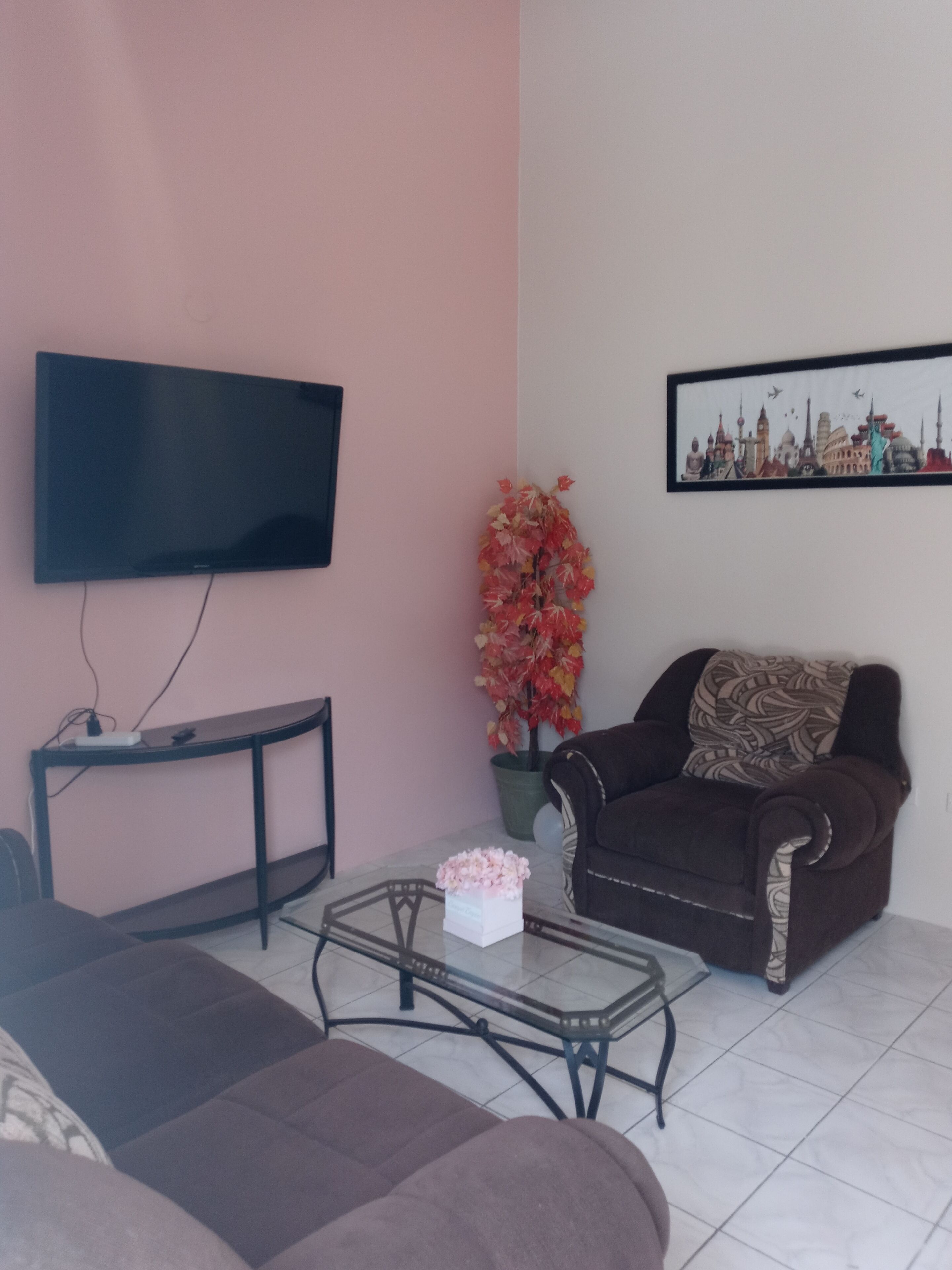 A living room with a flat-screen TV mounted on the wall, a brown sofa with a patterned cushion, a glass coffee table, and a potted plant with red and yellow leaves.