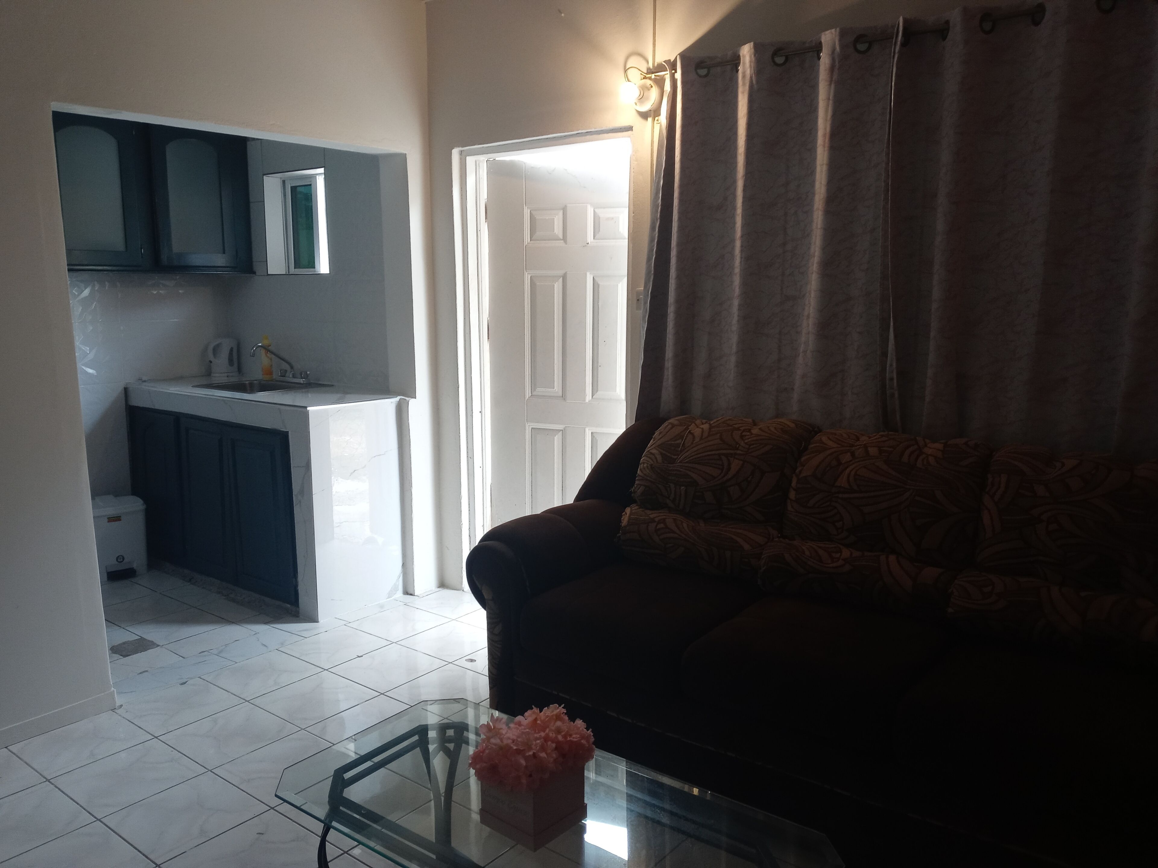 A living room with a sofa, a glass coffee table with flowers, a kitchen area with cabinets and a sink, and a door leading outside.