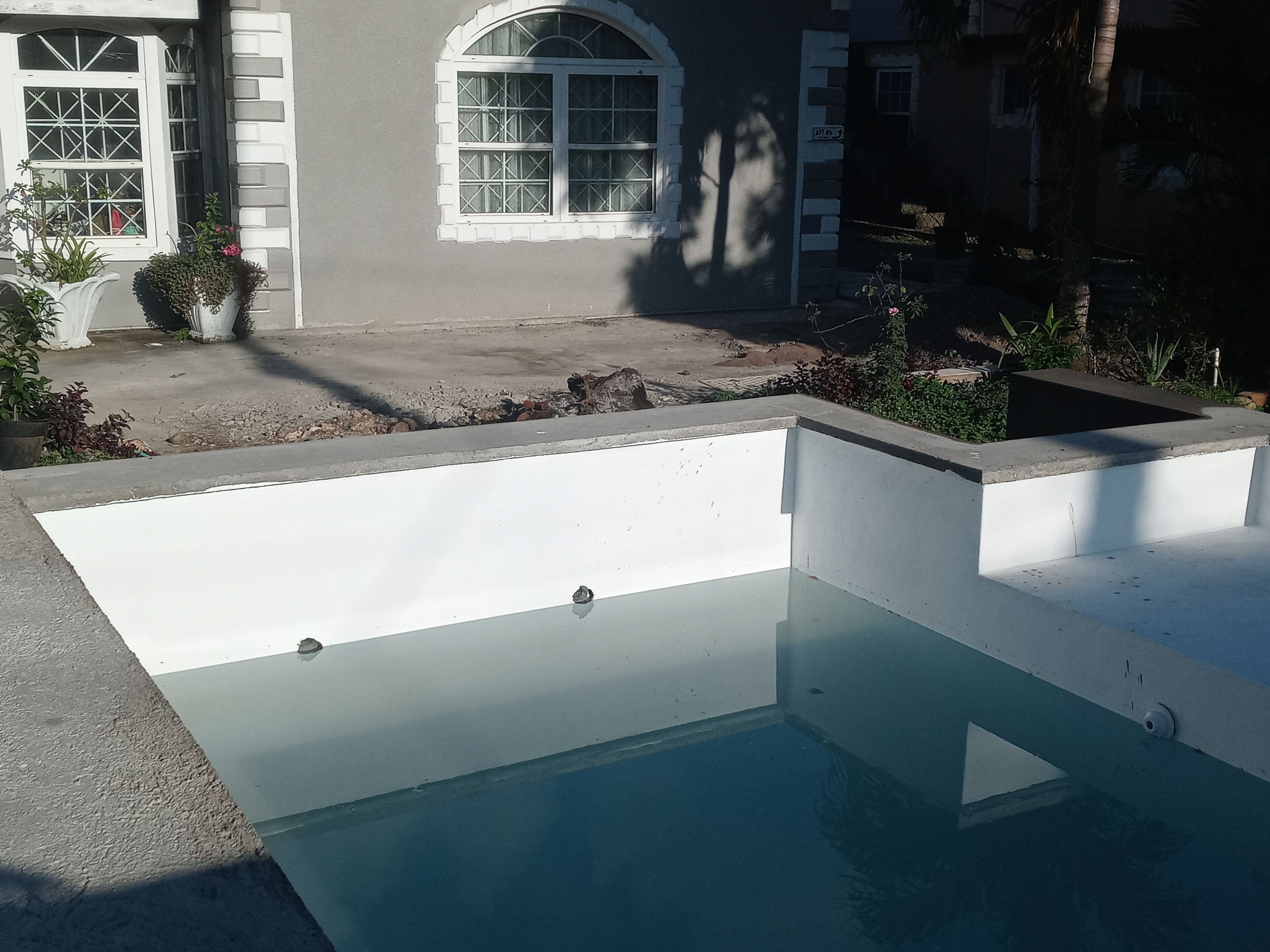 Une piscine bordée de béton, entourée d’une terrasse en béton et agrémentée de plantes en pot.