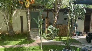 Un jardin avec différentes plantes, un lampadaire solaire et une moto garée devant un bâtiment.