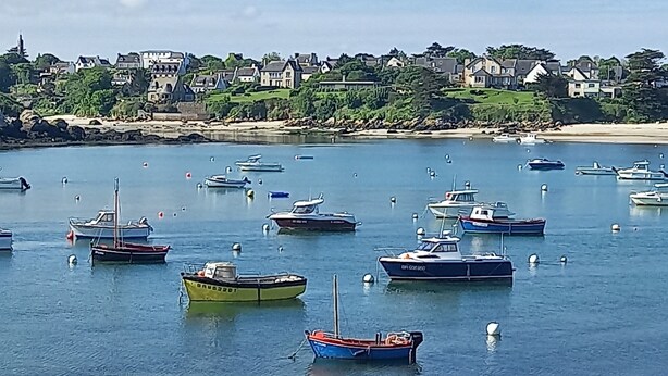 A harbor with numerous boats anchored in calm waters, a sandy beach, and a backdrop of houses and greenery. - Gîte L'escale Portsallaise (Ploudalmézeau)
