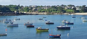 A harbor with numerous boats anchored in calm waters, a sandy beach, and a backdrop of houses and greenery.