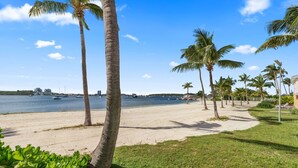 A beach with palm trees, a sandy shore, and a body of water with boats.