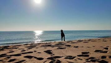 Ligstoelen aan het strand