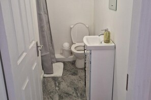 Shower, towels - Quiet 1Br Retreat- Fast Internet- Walk-in Shower (Cork)