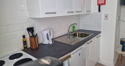 Quiet 1Br Retreat- Fast Internet- Walk-in Shower