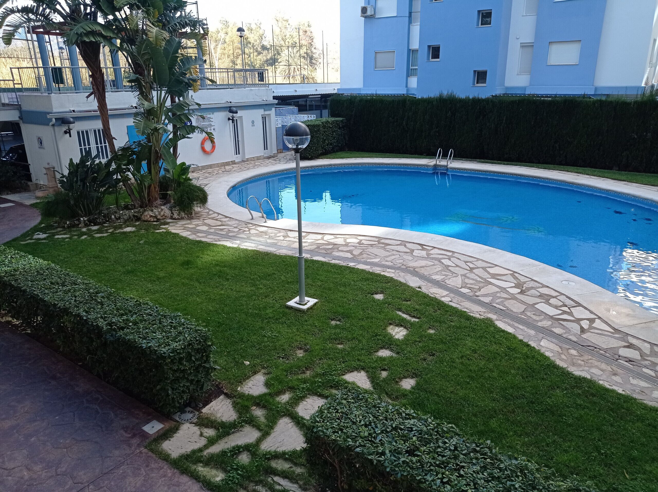 A swimming pool surrounded by a stone pathway and green grass, with a building in the background.