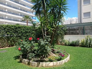 Stunning garden area with a variety of plants and flowers, including roses and yellow blooms, surrounded by a stone border and a palm tree.