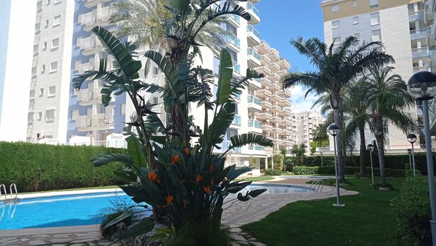 A residential area with a swimming pool, palm trees, and high-rise apartment buildings.