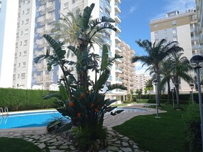 Una piscina techada