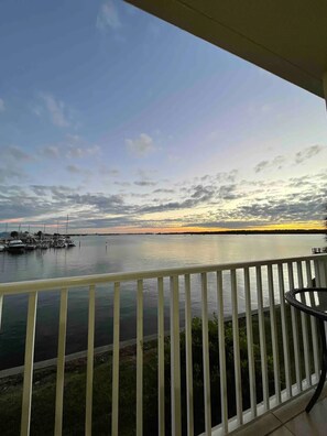 Property grounds - Waterfront Studio Condo by Madeira Beach (St. Petersburg)