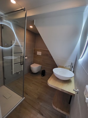 Shower, hair dryer, toilet paper