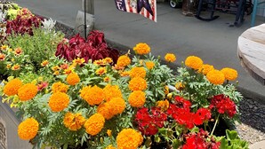 A building with a 'WELCOME' sign, outdoor seating, and a flower bed with marigolds.