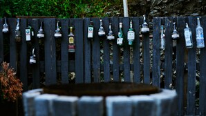 Property grounds - kazbegi apartments (Stepantsminda)