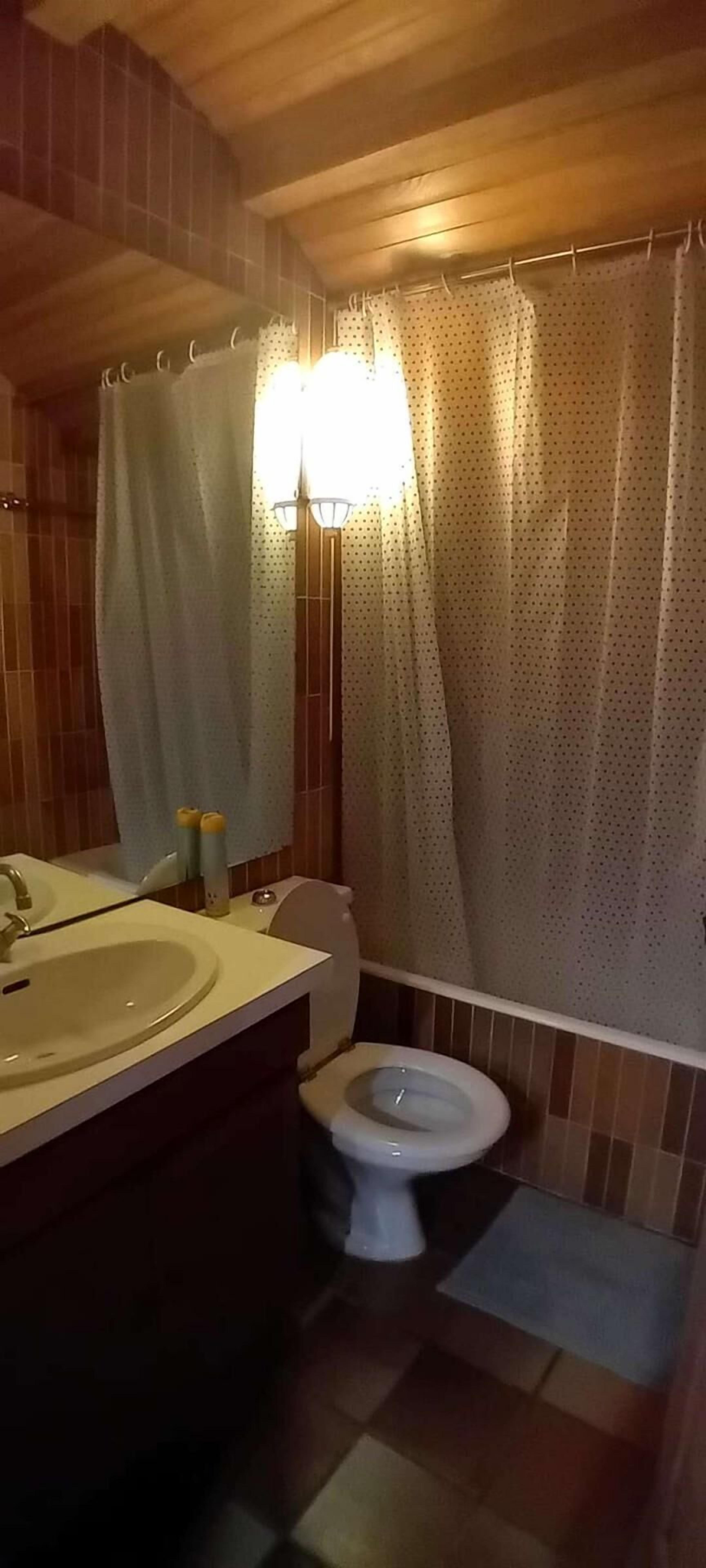 Une salle de bain équipée d’un lavabo, de toilettes et d’un rideau de douche.