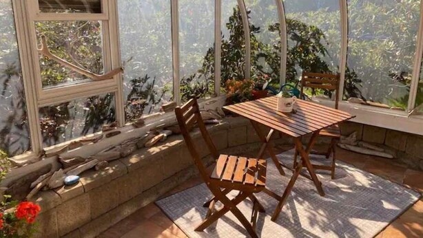 Un invernadero con una mesa y sillas de madera, rodeado de plantas en macetas y vistas a un bosque.