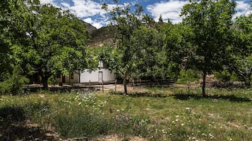 Jardín