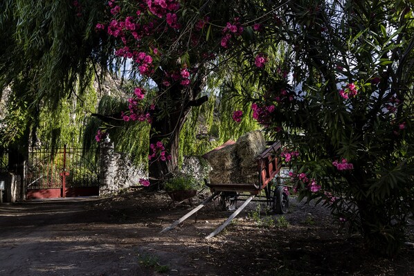 A garden with a wooden cart, a metal gate, and flowering trees. - Casona El Resguardo (San Esteban)