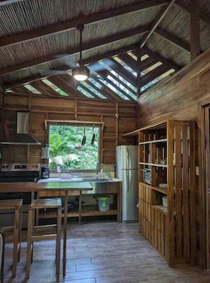 Kjøleskap, ovn, kokeplater og kaffetrakter/tekoker