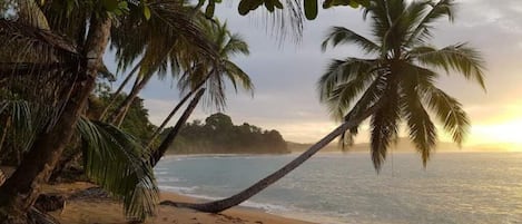 海滩