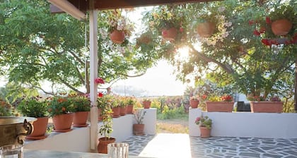 Holiday Home Naxos - Ktima Dimitrios