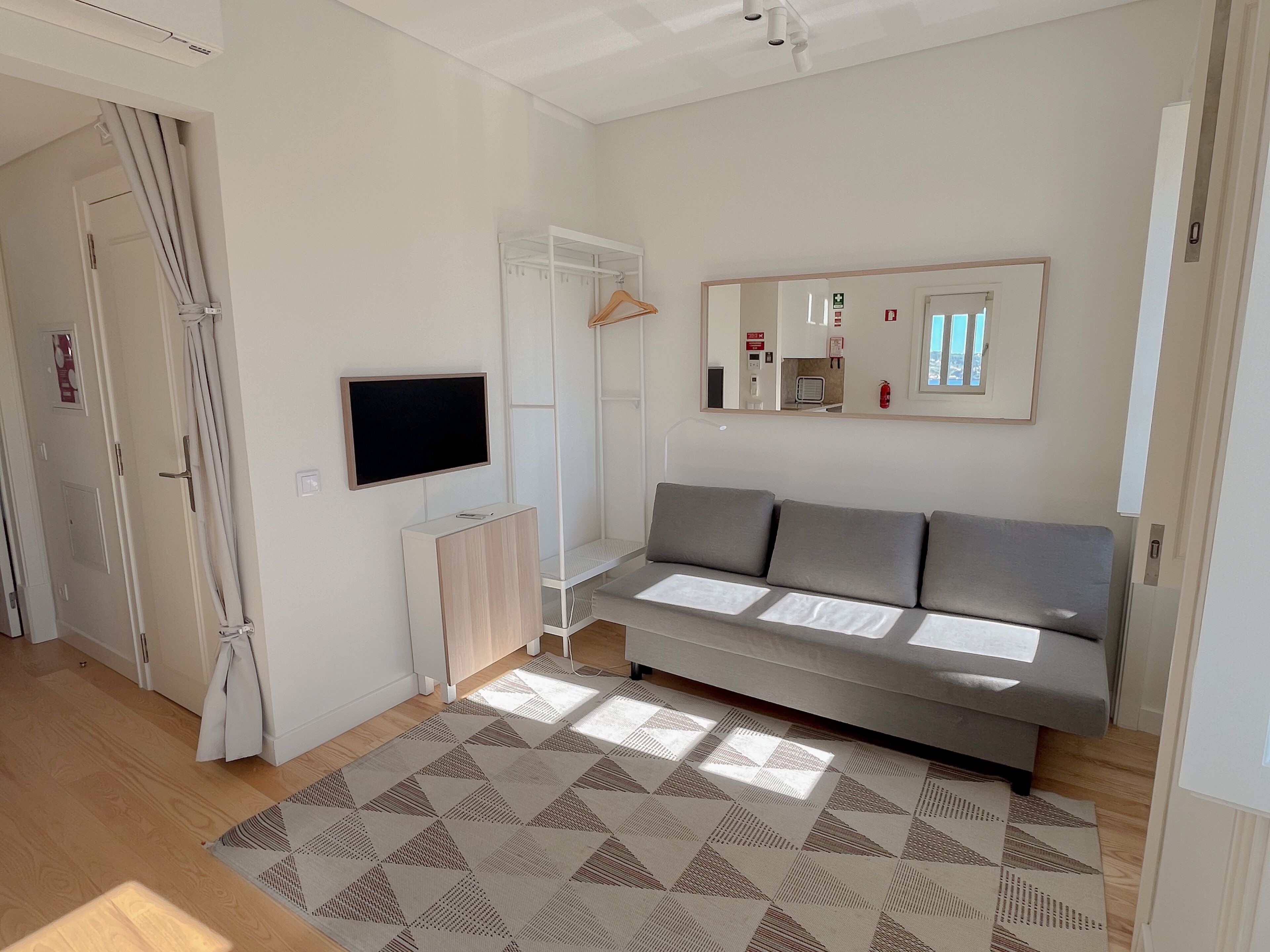 A modern living room with a sofa, a flat-screen TV, a radiator, and a patterned rug.