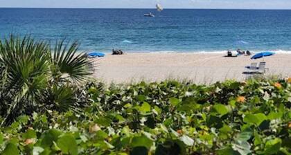 Tropical Oasis - 5 minutes to beach!