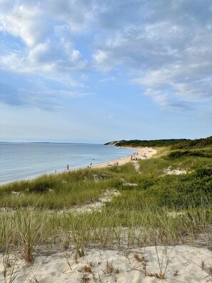 Beach - Entire home in West Tisbury, Massachusetts minutes from Lambert's Cove (West Tisbury)