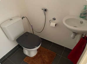 Chuveiro, toalhas de banho, papel higiênico 