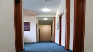 A hallway with blue carpet, wooden doors, and a ceiling light. - Hotel Apollonia (Pristina)