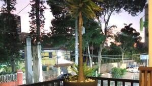 Un balcón con una silla y una planta en maceta, con vistas a una calle con edificios y árboles.