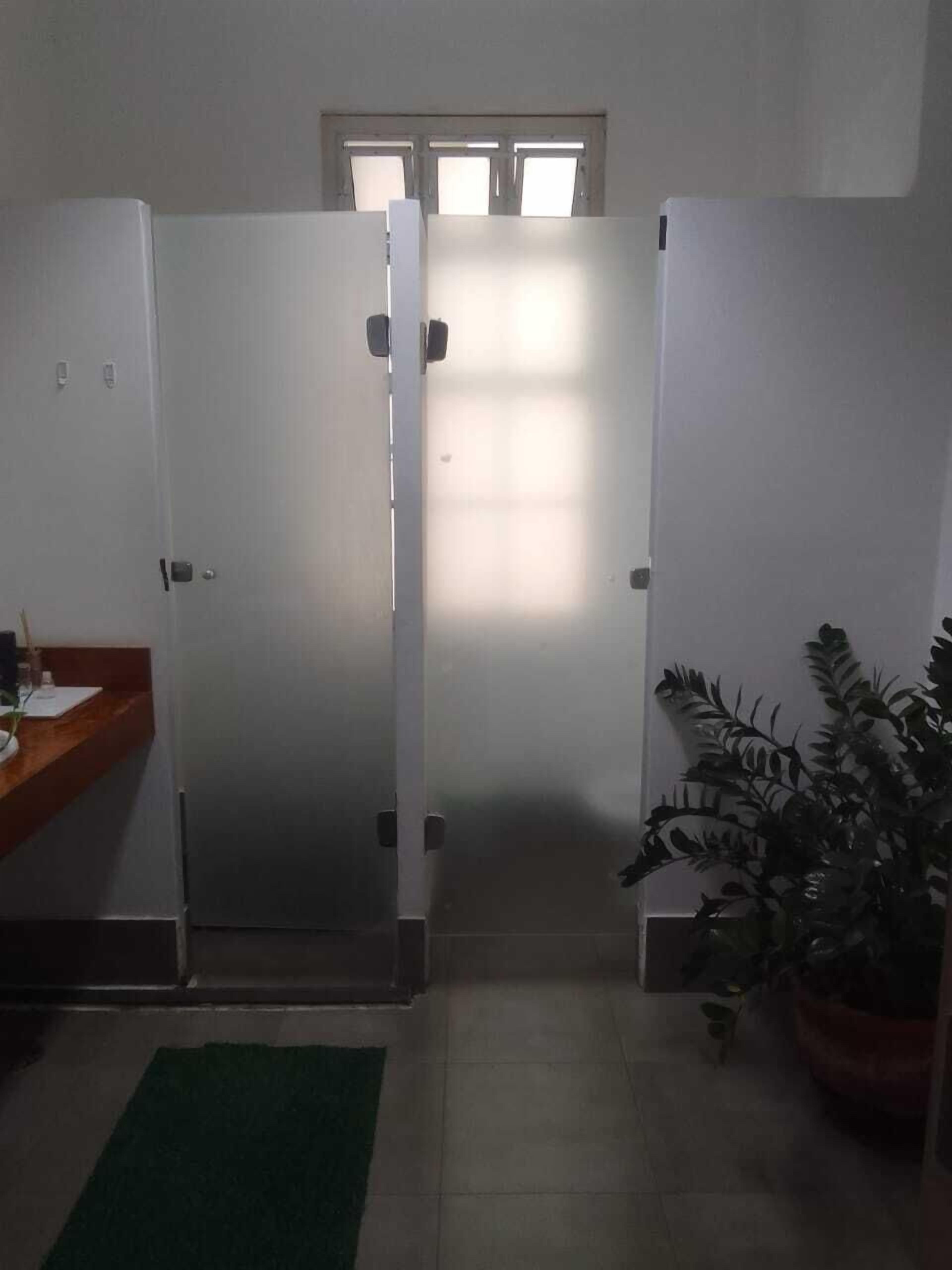 A room with a closed door, a small window, a potted plant, and a green rug on the floor.